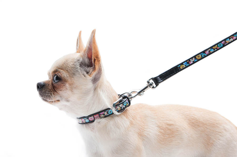 Нашийник для собак шкіряний WAUDOG Design з QR паспортом, малюнок "Пончики", Ш 12 мм, Д 18-24 см, чорний Вінниця - фото 5