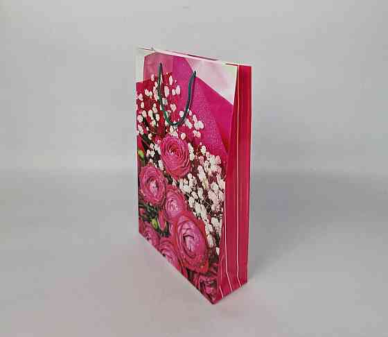 Большой бумажный пакет вертикальный  25/37/8(артBV-018) (12 шт) Харьков