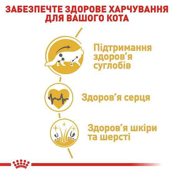 Корм для дорослих котів породи Мейн-Кун ROYAL CANIN MAINECOON ADULT 10.0 кг Київ