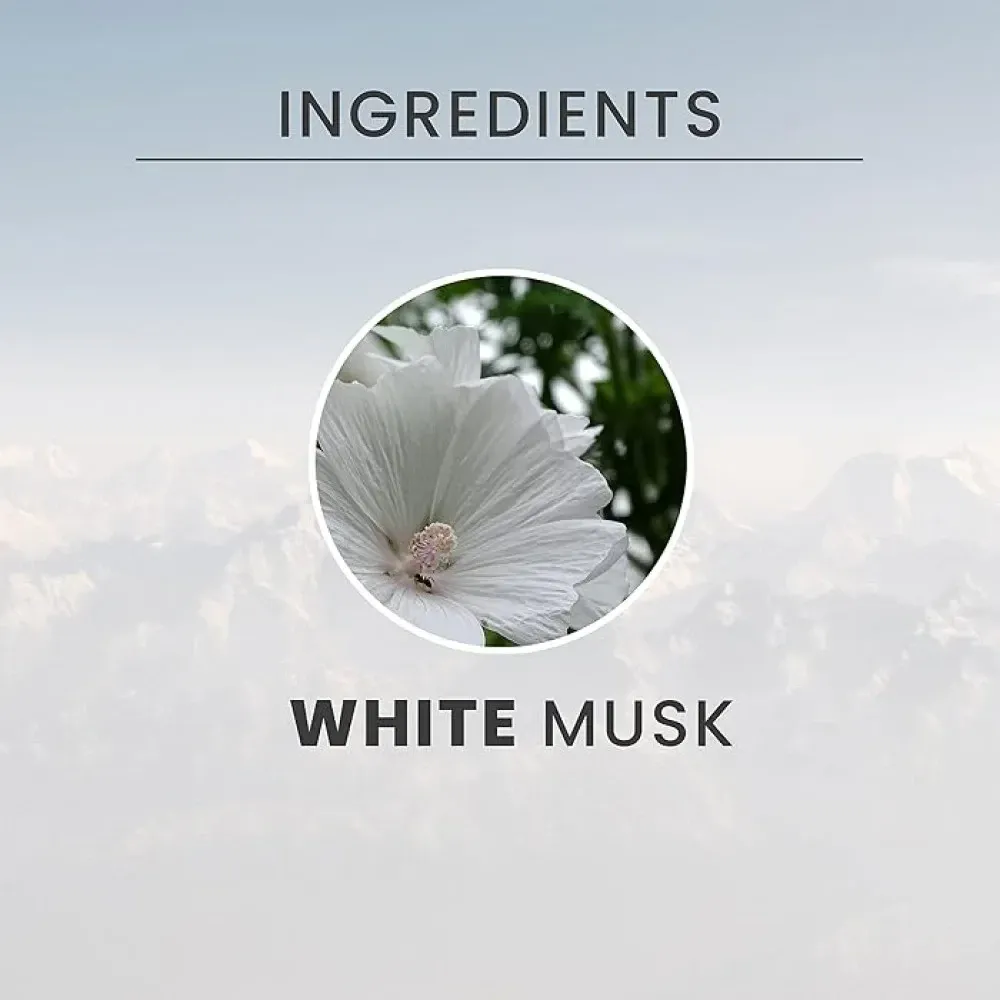 Крем-піна для душу Tesori d'Oriente White Musk (Білий Мускус), 500 мл Львів - фото 2