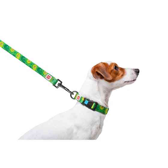 Повідець для собак нейлоновий WAUDOG Nylon, малюнок "Авокадо", Ш 20 мм, Дов 122 см Коломия