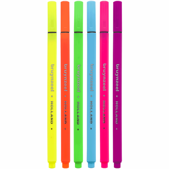 Набір лінерів FINELINER Neon Неонові кольори 6кол Bruynzeel Київ