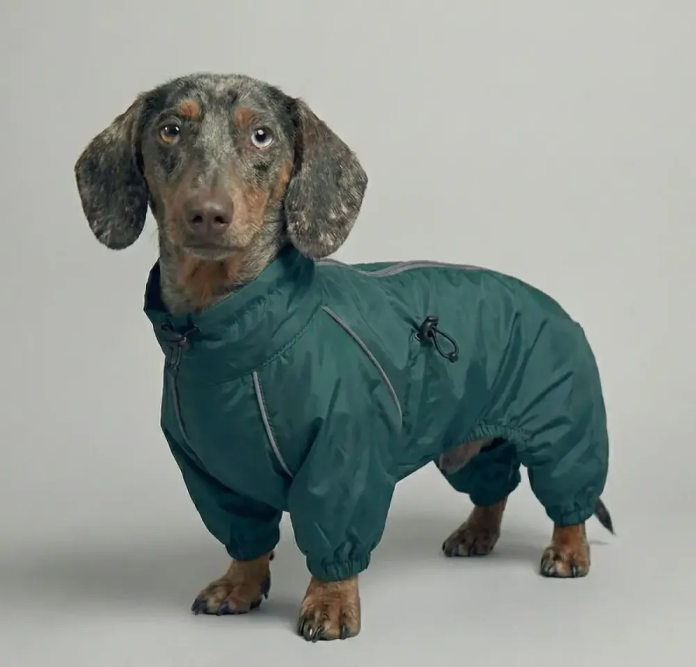 Дощовик для такси комбінезон Dogs Bomba водовідштовхувальний осінь на блискавці з утяжками смарагд Одеса - фото 1