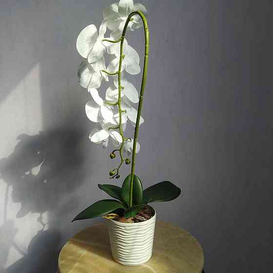 Штучна латексна орхідея VIP у пластиковому кашпо на одну гілку біла Дніпро