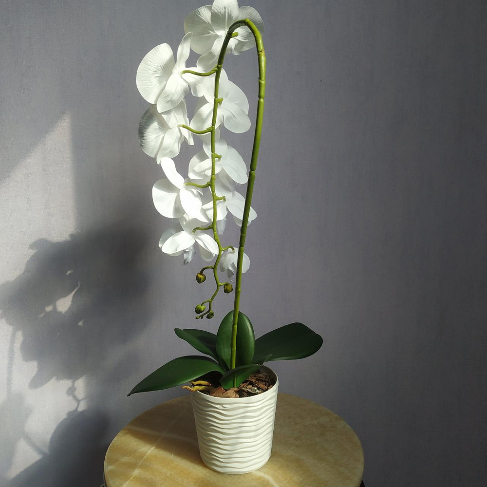 Штучна латексна орхідея VIP у пластиковому кашпо на одну гілку біла Дніпро - фото 5