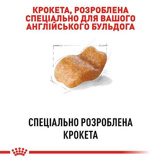 Корм для собак породи Англійський бульдог ROYAL CANIN BULLDOG ADULT 12.0 кг Київ