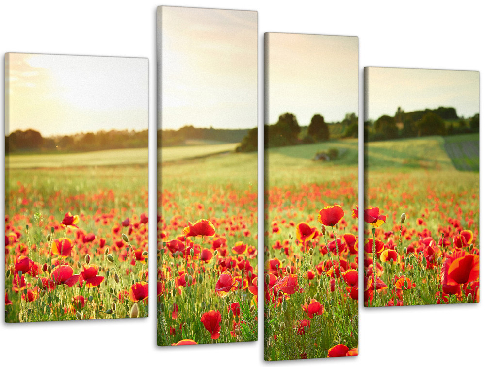 Модульна картина Поле маків Art-136_4 Київ - фото 1