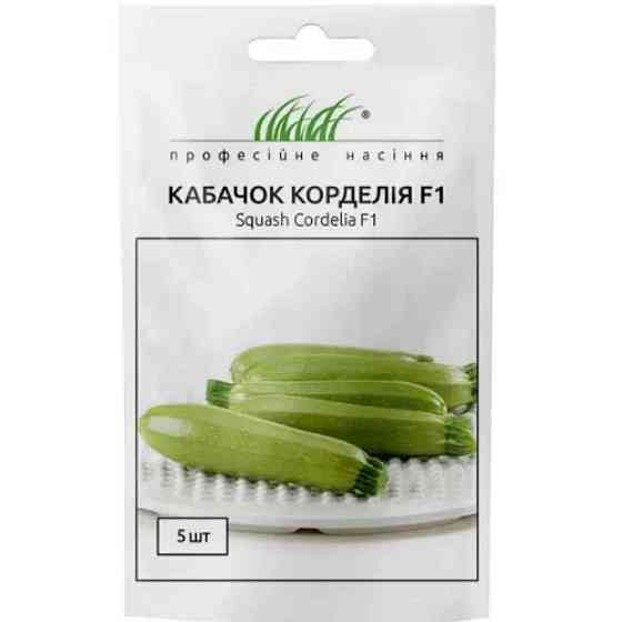 Семена Кабачок Корделия F1 5 семян Syngenta Винница