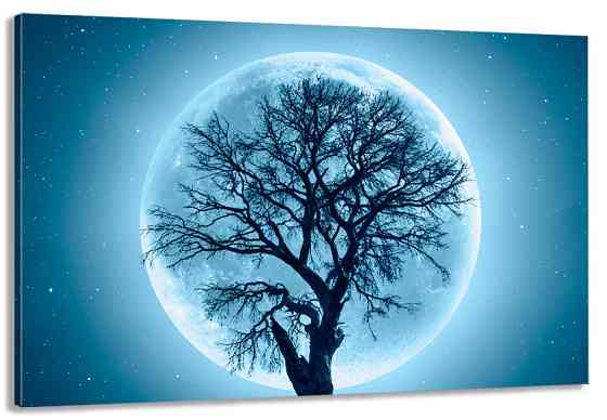 Картина холст в гостиную / спальню  Дерево в місяці   MLP_176 80х160см Киев