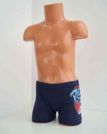 Боксеры мальчиковые детские - микс Racer. Набор из 5 шт. Nicoletta 41098 4-5 Киев