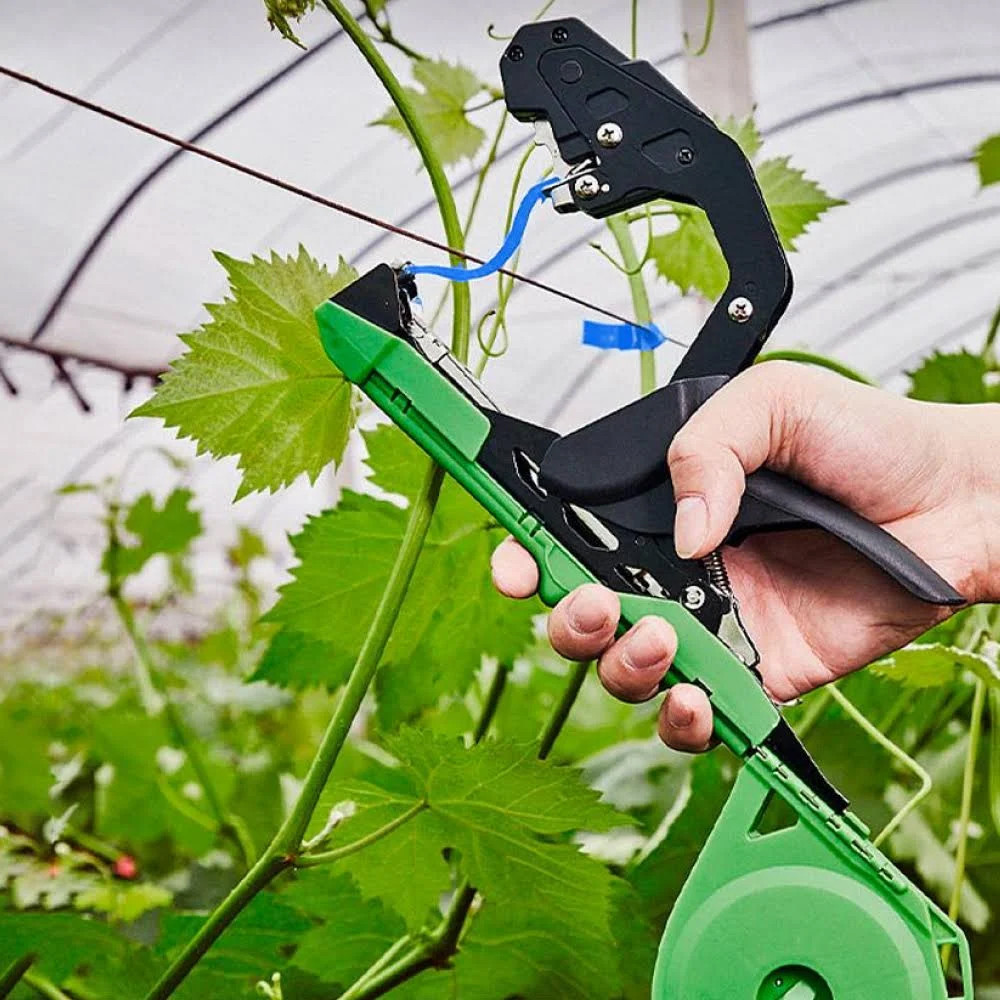 Лента для садового степлера 26м х 11мм, 1шт / Лента для подвязки растений / Лента для подвязки винограда Киев - изображение 7