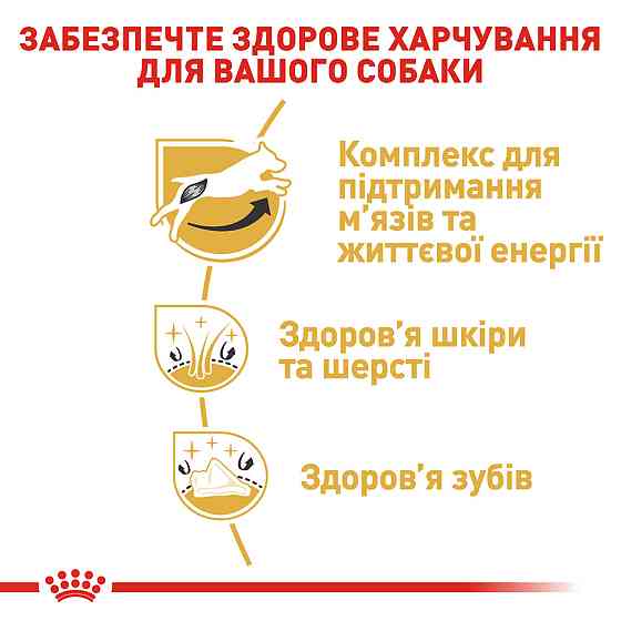 Корм для взрослых собак ROYAL CANIN JACK RUSSEL ADULT 7.5 кг Киев