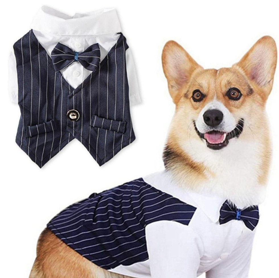 Фрак для собак/котів M Луцк - изображение 1