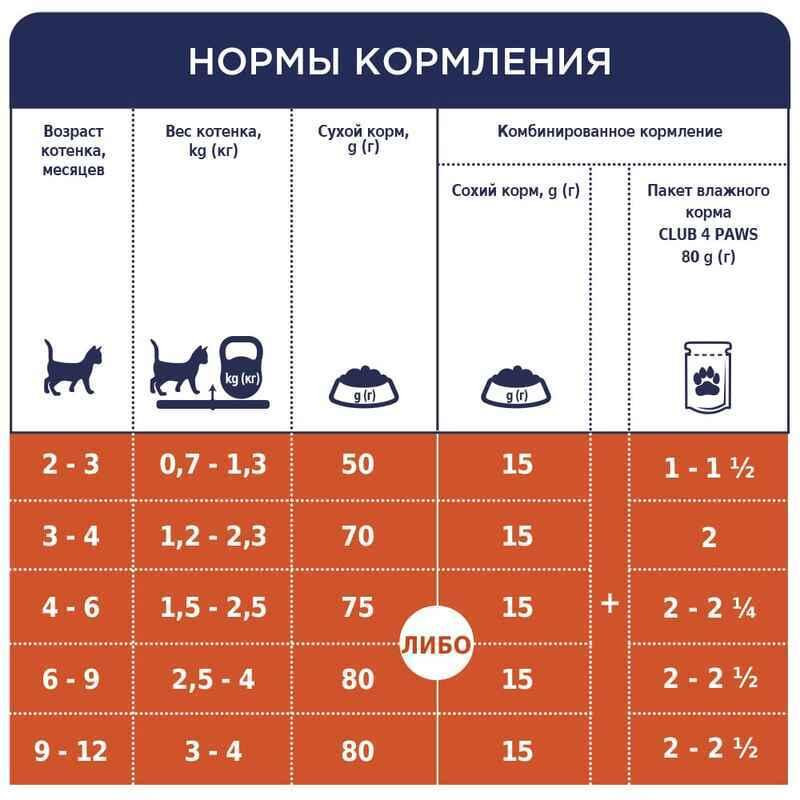 Club 4 Paws (Полуб 4 Лапи) Premium Kitten Chicken сухий корм із куркою для кошенят 5 кг Запоріжжя - фото 6
