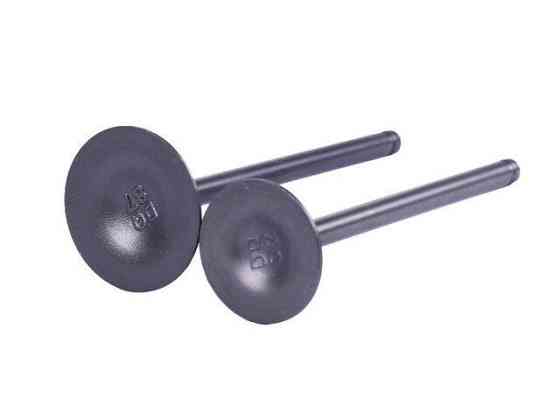 Клапани на бензиновий двигун CB-250CC, к-т: 2 шт., Мукачево