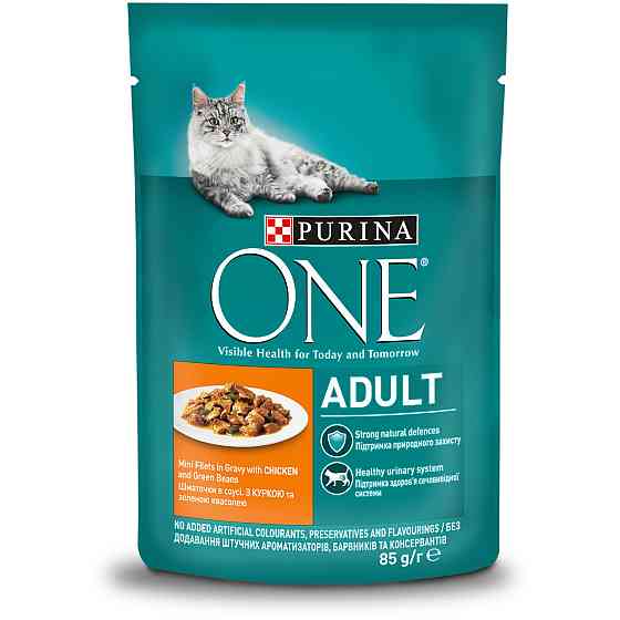 Влажный корм PURINA ONE Adult для взрослых кошек, кусочки в соусе, с курицей и зеленой фасолью, 85 г Киев