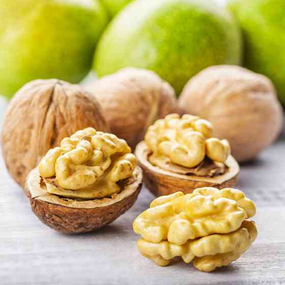 Саджанці грецького горіха Десертний (привитий) - 1-річний Чернівці