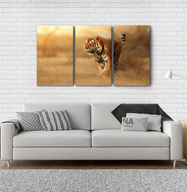 Модульна картина Природа Тигр Аrt-183_3А Київ - фото 2