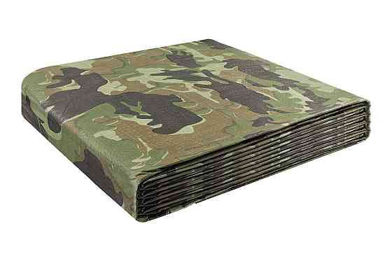 MASTERTOOL Тент MASTERTOOL CAMOUFLAGE 10х12 м 90 г/м² 79-8012 Киев