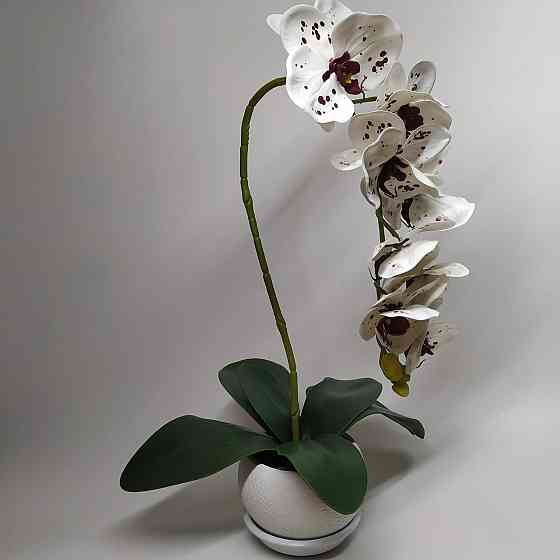 Штучна латексна орхідея VIP у білому керамічному кашпо на одну гілку біла Дніпро