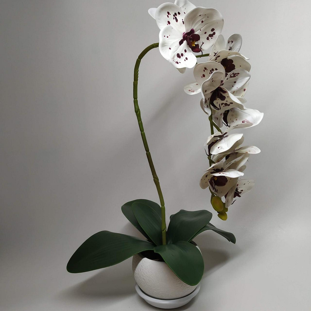 Штучна латексна орхідея VIP у білому керамічному кашпо на одну гілку біла Дніпро - фото 4