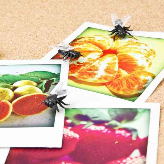 Набір кнопок 