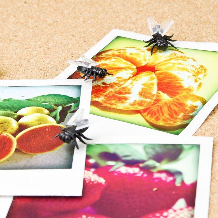 Набір кнопок "Муха" Рівне - фото 1