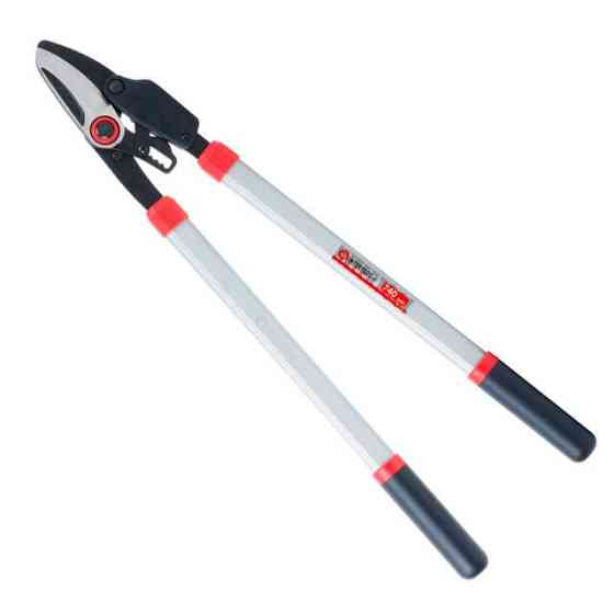 Сучкорез садовый для обрезки веток, 740 мм, храповый механизм INTERTOOL FT-1114 Киев