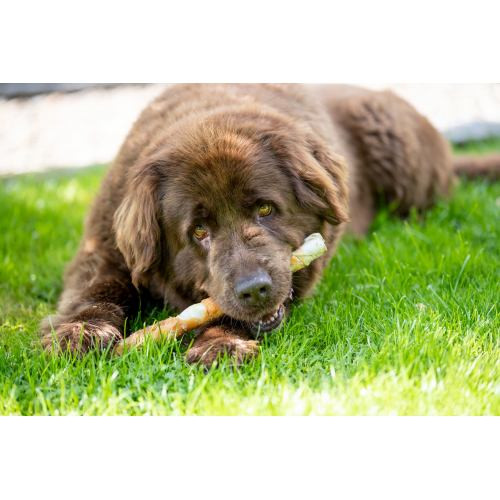 Ласощі Trixie Denta Fun Chewing Rolls для собак Палички для чищення зубів з куркою 40 см 170 г Київ - фото 4