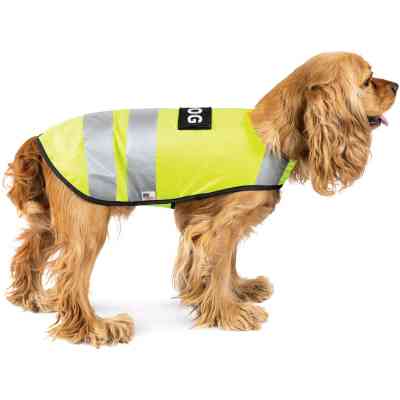 Жилет для животных Pet Fashion "Yellow Vest" XS (4823082417179) Винница
