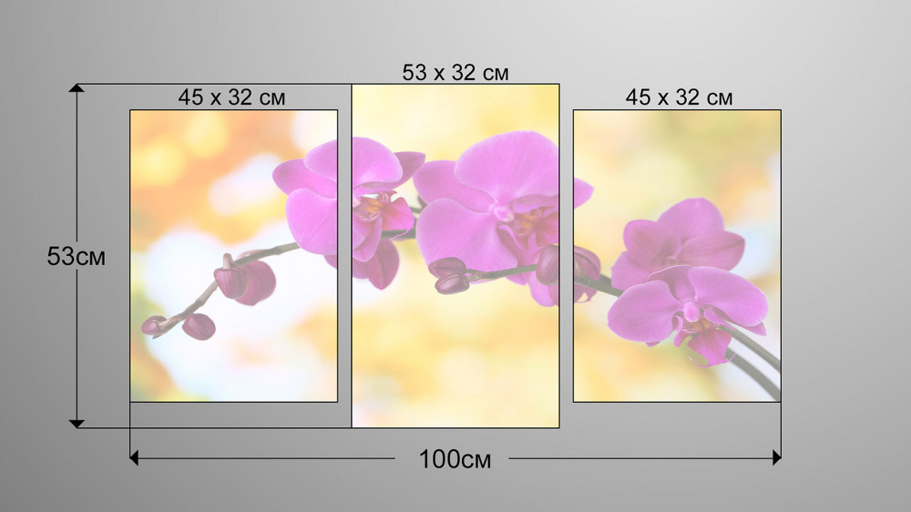 Модульна картина Квіти Орхідея Art-136_3 Київ - фото 3