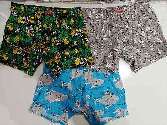 Трусы мужские Шорты Lans 06/040 XXL, Самолеты Киев