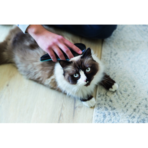 Щітка-пуходерка Trixie для собак м_яка пластикова 19 см Київ - фото 8