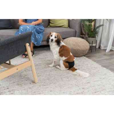 Гигиенические трусы для собак Trixie L 50-59 см (черные) (4011905234946) Винница