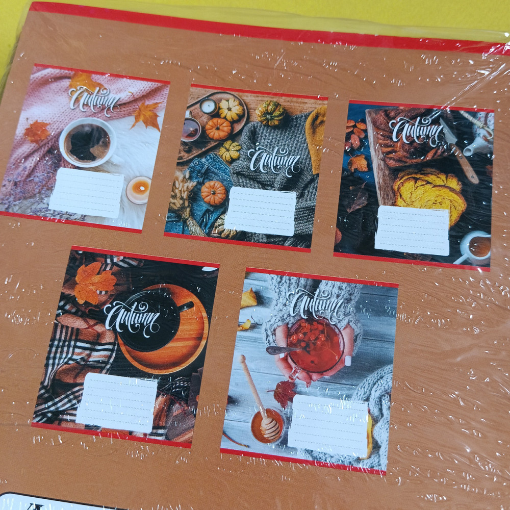 Тетрадь 36л клетка Киев - изображение 2