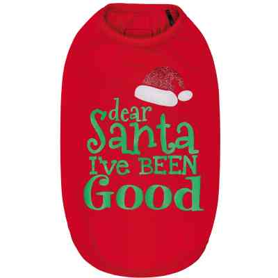 Борцовка для животных Pet Fashion "PRESENT" XS (4823082423583) Винница