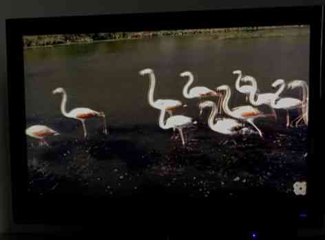 Телевизор GRUNDIG 32