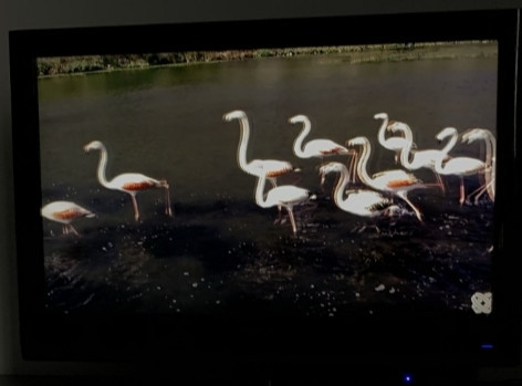 Телевизор GRUNDIG 32