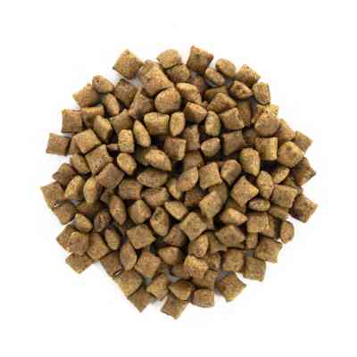 Сухий корм для кішок Brit Care Cat GF Sterilized Weight Control 2 кг (8595602540792) Вінниця