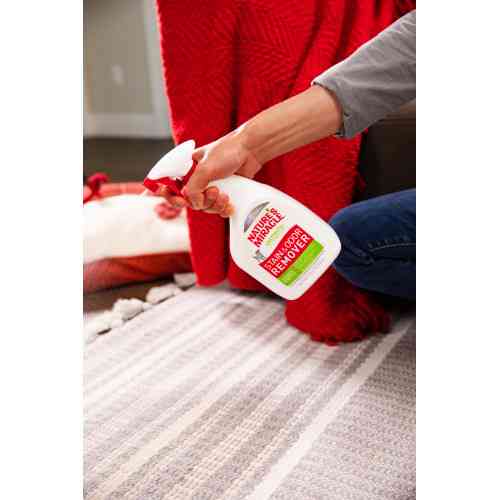 Средство 8in1 Nature_s Miracle Dog Stain and Odor Remover Spray для устранения пятен и запахов от собак 709 мл Киев