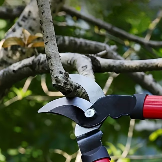 Сучкоріз садовий, секатор для саду і підрізування гілок з довгими 62 см прогумованими ручками, червоний Кам'янець-Подільський