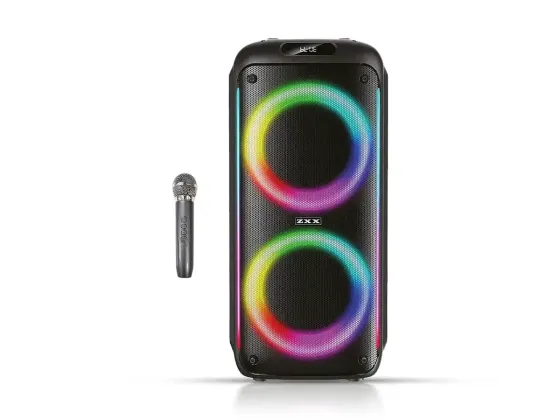Акустична переносна колонка ZXX-5504 1000Вт 2x6,5" 240х235х545мм TWS/FM/USB/TF/BT/LED/REC/MIC Київ