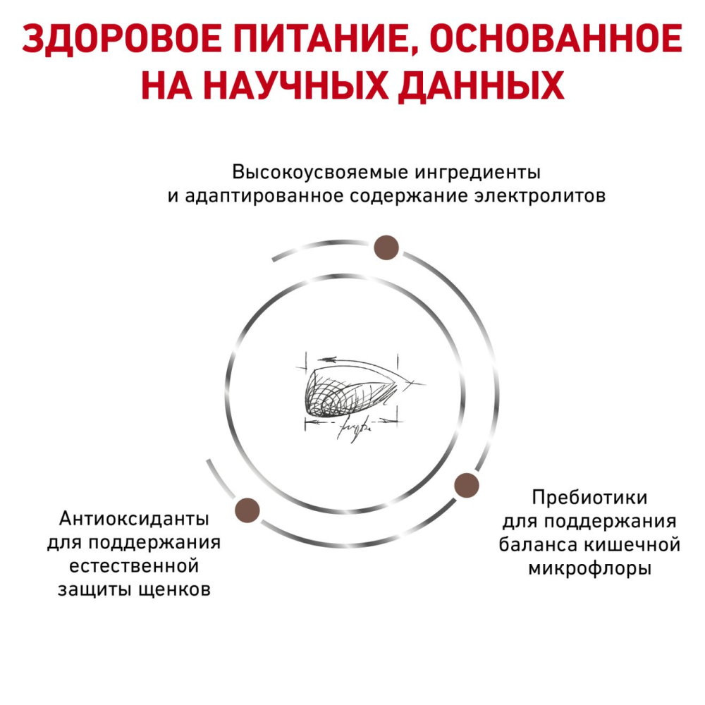 Royal Canin Gastrointistinal Puppy (Рояв Канін Гастроінтензал Паппі) корм для цуценят для системи травлення 2.5 кг. Запоріжжя - фото 3