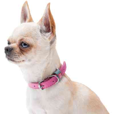 Нашийник для тварин WAUDOG Classic шкіряний 12 мм х 19-25 см рожевий (02017) Вінниця