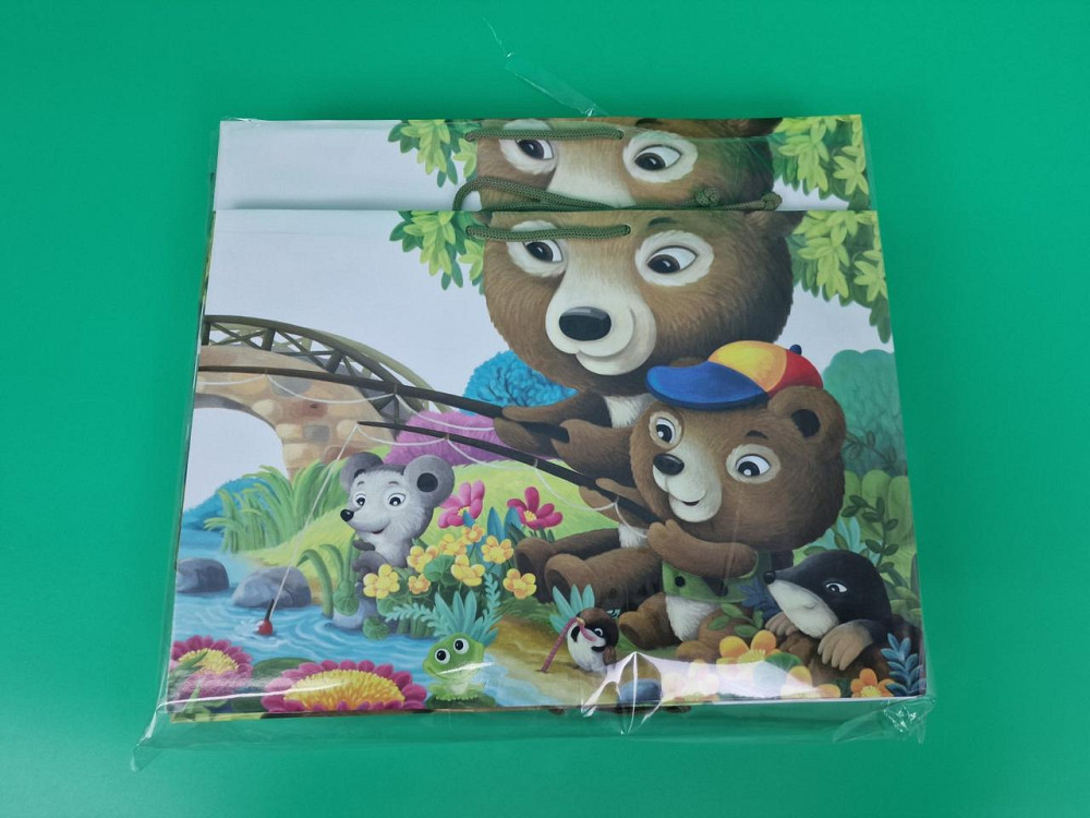 Бумажный большой горизонтальный пакет  36/22/10(артBG-164) (12 шт) Харьков - изображение 3