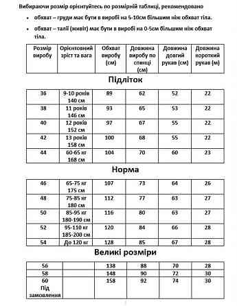 Українська чоловіча вишиванка з довгим рукавом в кольорі. Київ