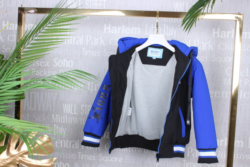 Демисезонная детская синяя куртка  для мальчиков  под резинку 92,98,104,110,116 Николаев - изображение 3