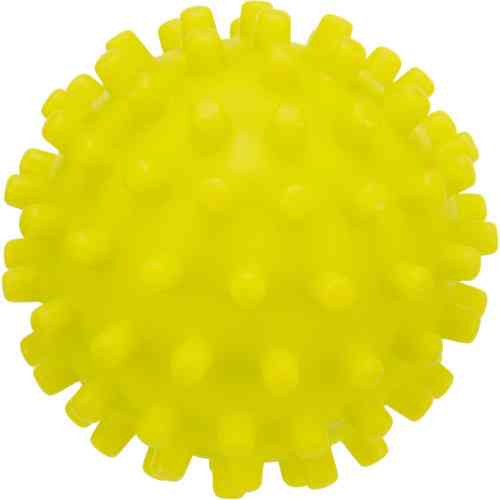 Іграшка Trixie для собак М яч голчастий з пискавкою вініл 10 см Київ