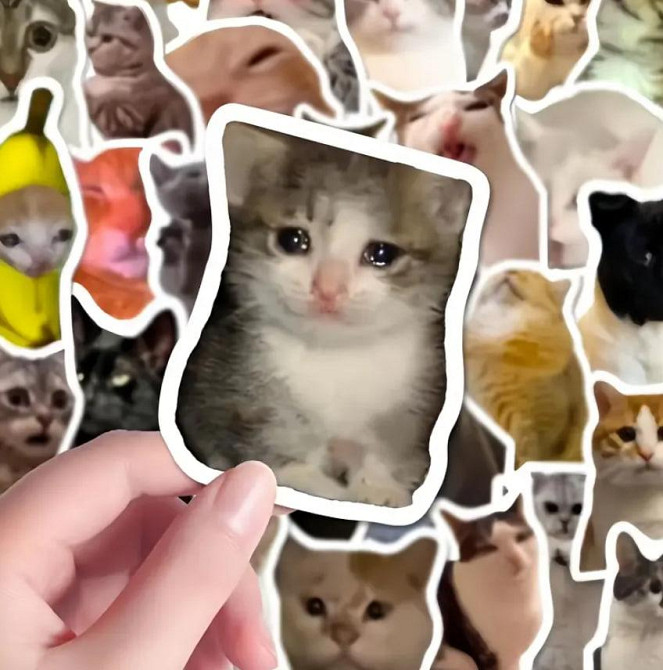 Набір наліпок з мемами про смішних котів (100 шт.) з коробкою для зберігання, стикербомбінг коти Київ - фото 4