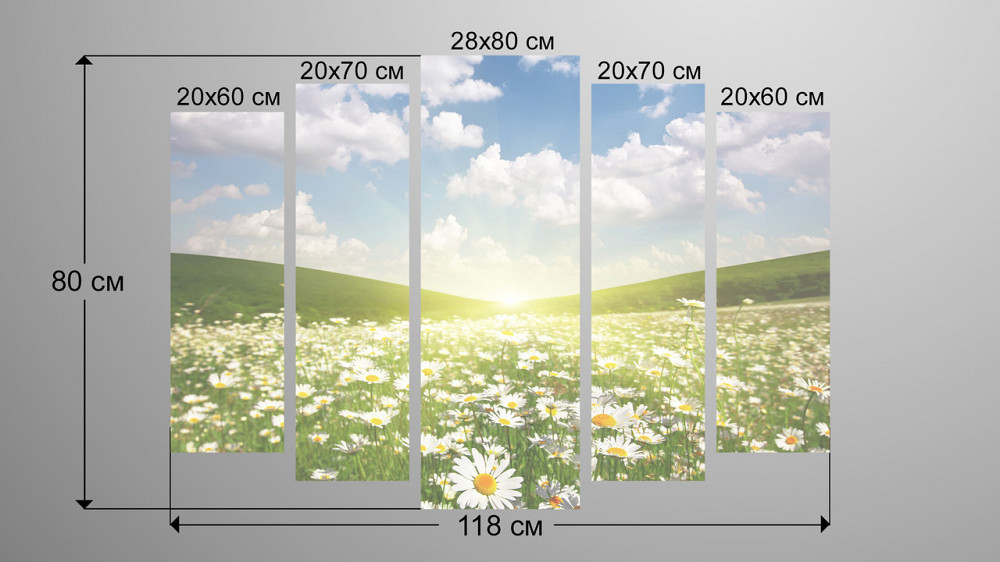 Модульная картина Ромашки Поле Art-160_5 Киев - изображение 3